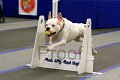 IMG_1670