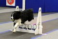 IMG_1672