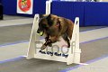 IMG_1685