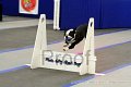 IMG_1688