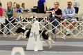 IMG_1691