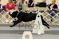 IMG_1695