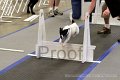 IMG_1706