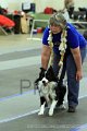 IMG_1729