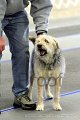 IMG_1741