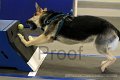 IMG_1765