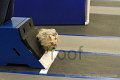 IMG_1769