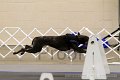 IMG_1774