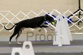 IMG_1777