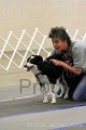 IMG_1781
