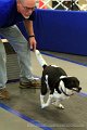 IMG_1795
