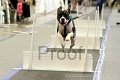IMG_1850