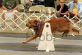 IMG_1865