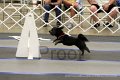 IMG_1867