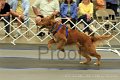 IMG_1876