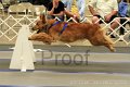 IMG_1877