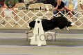IMG_1883