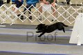 IMG_1894