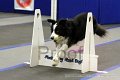 IMG_1904