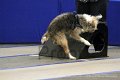 IMG_1906