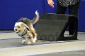 IMG_1909