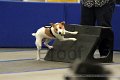 IMG_1911