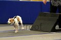 IMG_1913