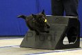 IMG_1916