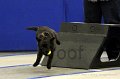IMG_1917