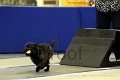 IMG_1918