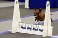 IMG_1925