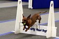 IMG_1926