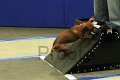 IMG_1936
