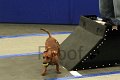 IMG_1938