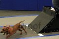 IMG_1939