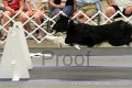 IMG_1959