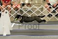 IMG_1977