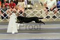 IMG_1980