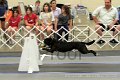 IMG_1990