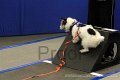 IMG_2005