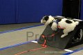 IMG_2006