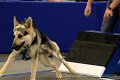 IMG_2018