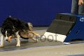 IMG_2024