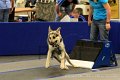 IMG_2032
