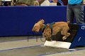 IMG_2035
