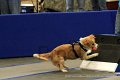 IMG_2047