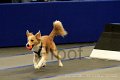 IMG_2050