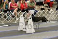 IMG_2068