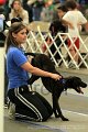 IMG_2075