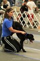 IMG_2076